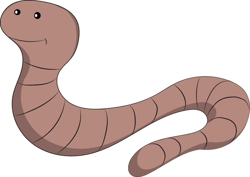 Red Wriggler