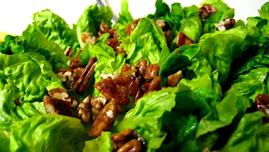 Growing Baby Greens Indoors