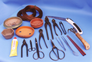Bonsai Tool Kit for Beginners