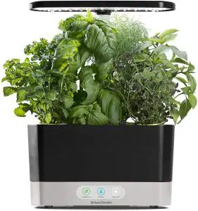 AeroGarden worth buying?