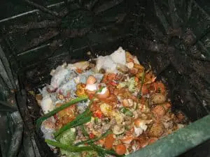 How To Compost Indoors Without Worms