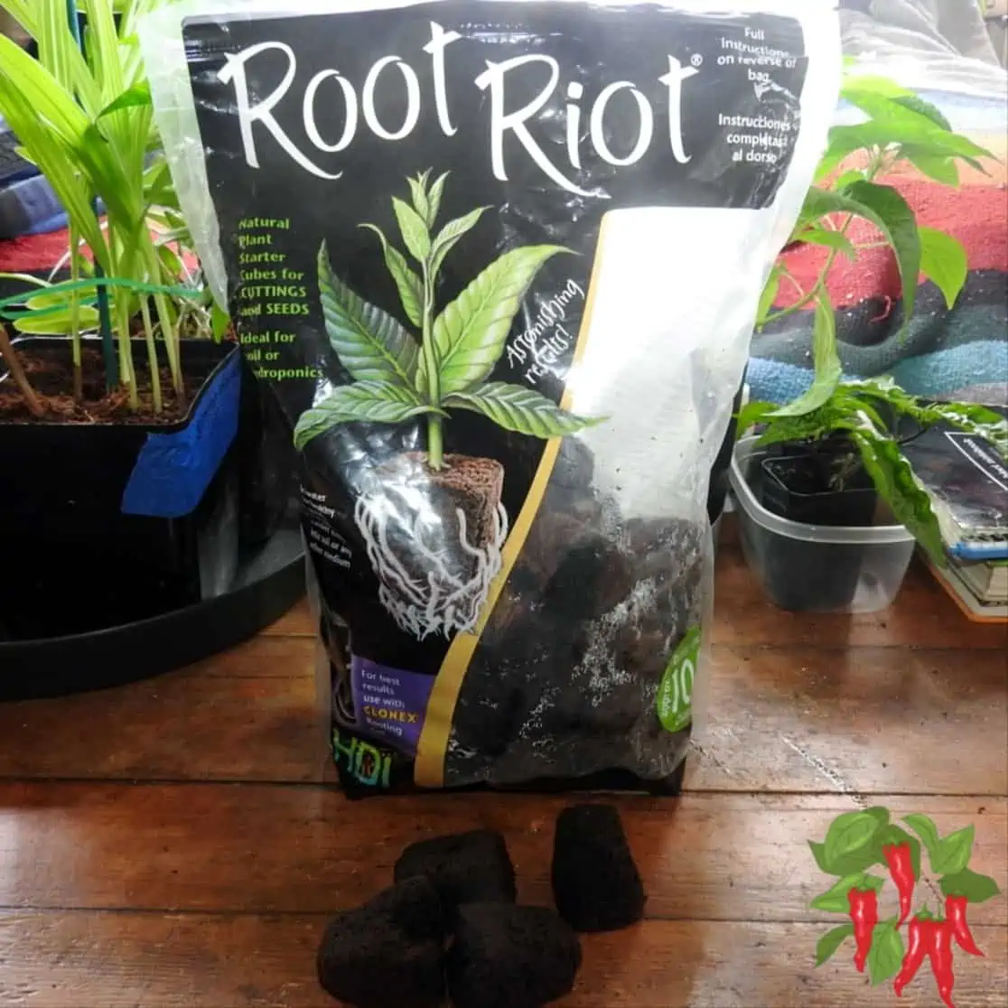AeroGarden Pods DIY - Easily Make Your Own Seed Pods