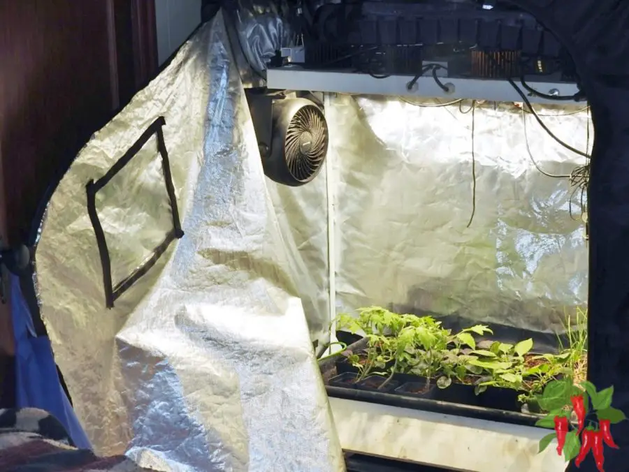 Using A Grow Tent For Growing Vegetables
