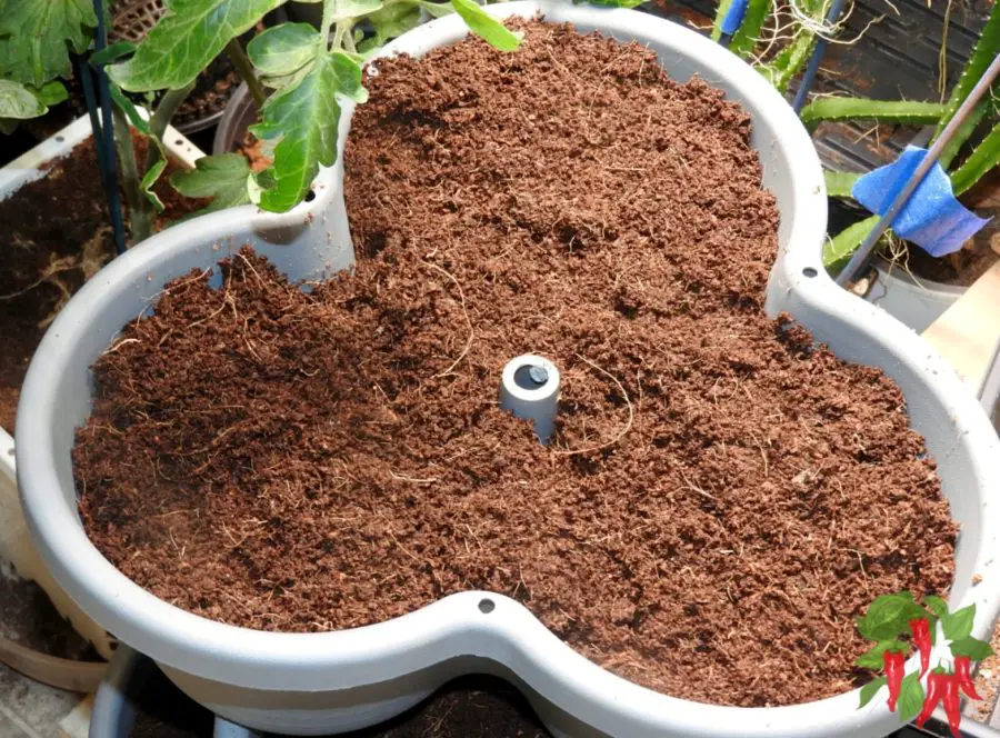 Canna Coco Coir Is The Best - Coco Coir in my 5-tier stackable planter