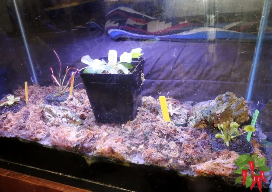 Choose the Right Container