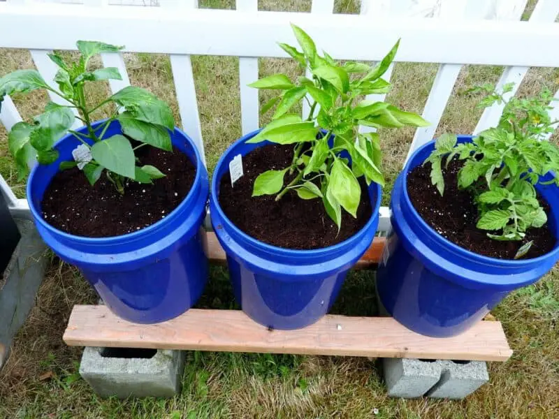 How Does a Hempy Bucket Work?