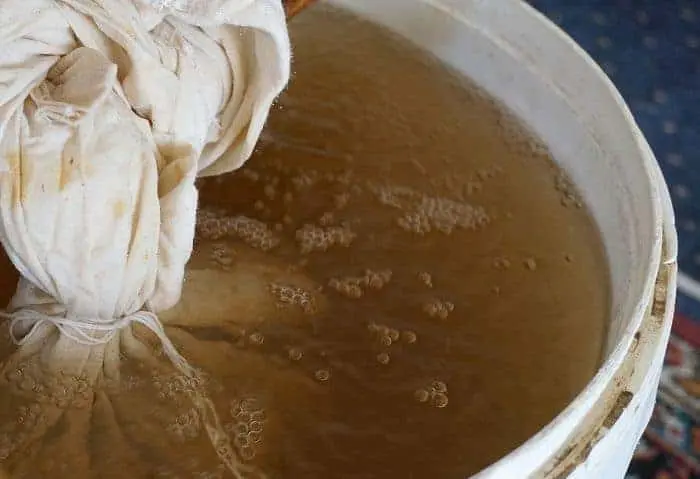 Worm Tea vs Leachate