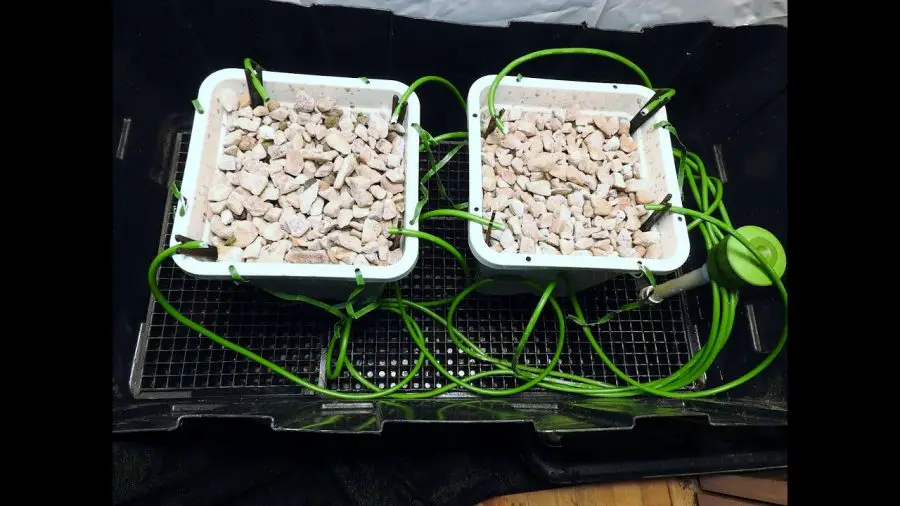 BUILD A HYDROPONIC DRIPPER SYSTEM