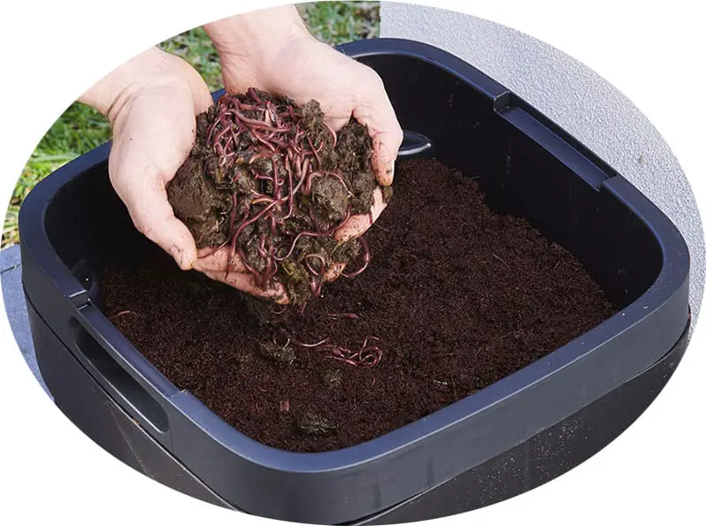 Containers & Growing Media - Composting and Soil - Worm Composting In Your Apartment