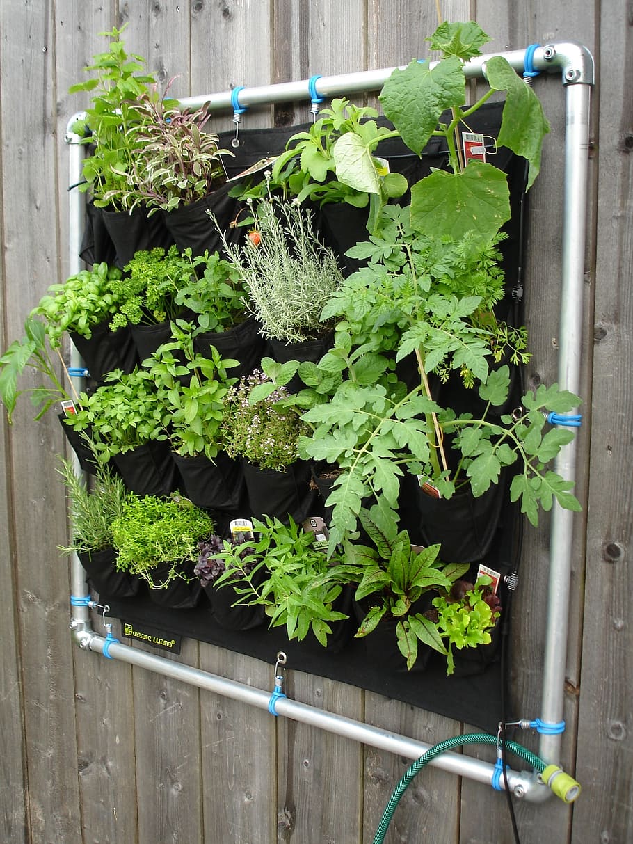 Vertical Pocket Garden
