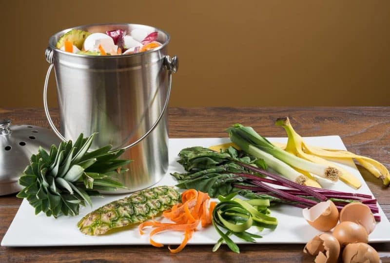 Composting Indoors: Easy Guide to Apartment Composting