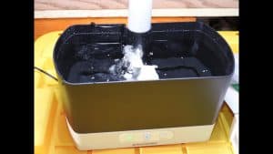 AeroGarden Guide: How To Grow Thriving Indoor Gardens - AeroGarden Harvest water flow